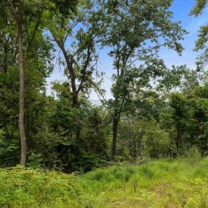 Photo #53 of 198 acres RUNIONS CREEK RD, BROADWAY, VA 198.5 acres