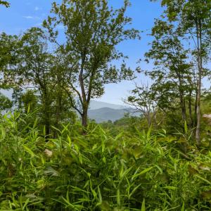 Photo #6 of 198 acres RUNIONS CREEK RD, BROADWAY, VA 198.5 acres