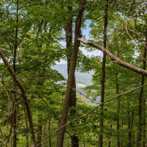Photo #55 of 198 acres RUNIONS CREEK RD, BROADWAY, VA 198.5 acres