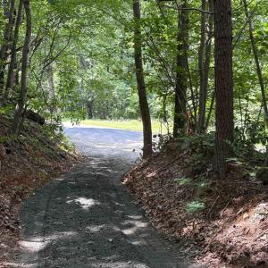 Photo #3 of TM 42-1c BEAHM TOWN RD, CULPEPER, VA 23.3 acres