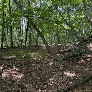 Photo #4 of TM 42-1c BEAHM TOWN RD, CULPEPER, VA 23.3 acres