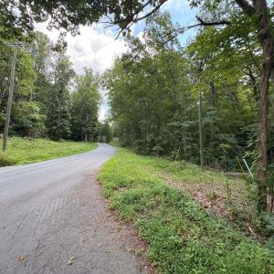 Photo #2 of TM 42-1c BEAHM TOWN RD, CULPEPER, VA 23.3 acres