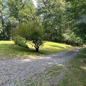 Photo #5 of 3047 WHIPPOORWILL RD, MADISON, VA 35.8 acres