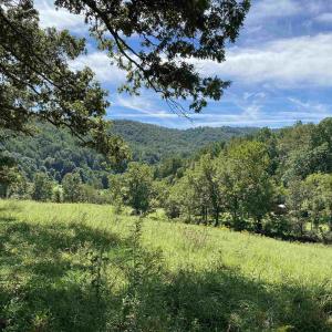 Photo #9 of 3047 WHIPPOORWILL RD, MADISON, VA 35.8 acres