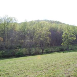 Photo #7 of 3047 WHIPPOORWILL RD, MADISON, VA 35.8 acres