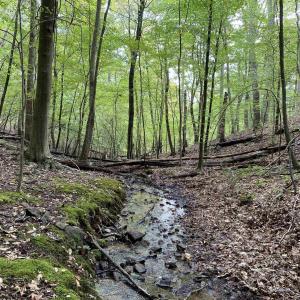 Photo #10 of 3047 WHIPPOORWILL RD, MADISON, VA 35.8 acres