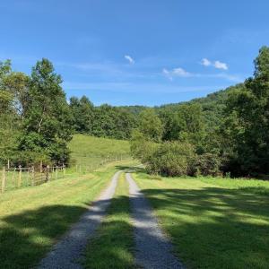 Photo #12 of 3047 WHIPPOORWILL RD, MADISON, VA 35.8 acres