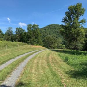 Photo #11 of 3047 WHIPPOORWILL RD, MADISON, VA 35.8 acres