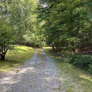 Photo #6 of 3047 WHIPPOORWILL RD, MADISON, VA 35.8 acres