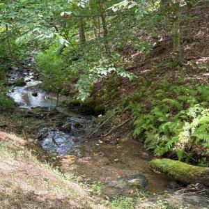 Photo #3 of 3047 WHIPPOORWILL RD, MADISON, VA 35.8 acres