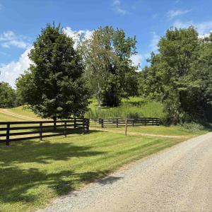 Photo #1 of 3047 WHIPPOORWILL RD, MADISON, VA 35.8 acres
