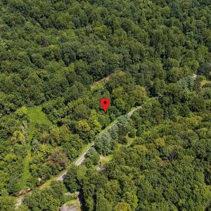 Photo #5 of 2530 BEECH GROVE RD, ROSELAND, VA 33.3 acres