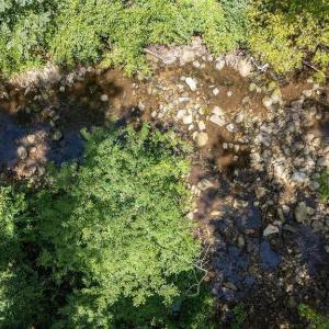 Photo #9 of 2530 BEECH GROVE RD, ROSELAND, VA 33.3 acres