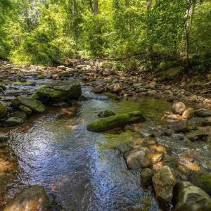 Photo #1 of 2530 BEECH GROVE RD, ROSELAND, VA 33.3 acres