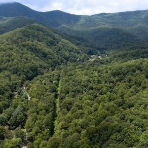 Photo #14 of 2530 BEECH GROVE RD, ROSELAND, VA 33.3 acres