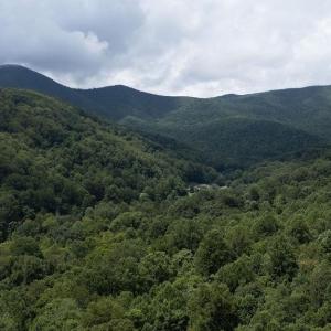 Photo #15 of 2530 BEECH GROVE RD, ROSELAND, VA 33.3 acres