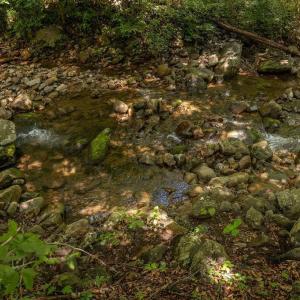 Photo #12 of 2530 BEECH GROVE RD, ROSELAND, VA 33.3 acres