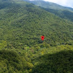 Photo #8 of 2530 BEECH GROVE RD, ROSELAND, VA 33.3 acres