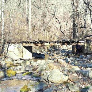 Photo #5 of 2530 BEECH GROVE RD, ROSELAND, VA 33.3 acres