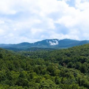 Photo #17 of 2530 BEECH GROVE RD, ROSELAND, VA 33.3 acres