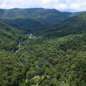 Photo #13 of 2530 BEECH GROVE RD, ROSELAND, VA 33.3 acres