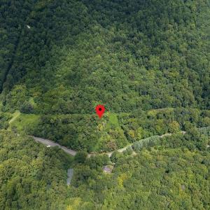 Photo #6 of 2530 BEECH GROVE RD, ROSELAND, VA 33.3 acres