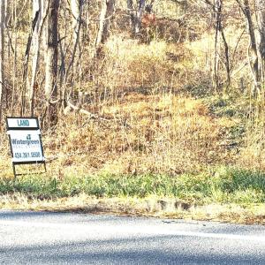 Photo #4 of 2530 BEECH GROVE RD, ROSELAND, VA 33.3 acres