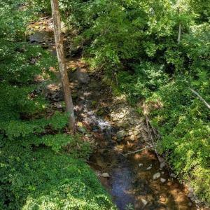 Photo #11 of 2530 BEECH GROVE RD, ROSELAND, VA 33.3 acres