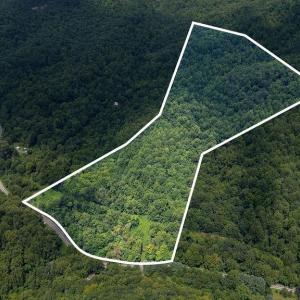 Photo #3 of 2530 BEECH GROVE RD, ROSELAND, VA 33.3 acres