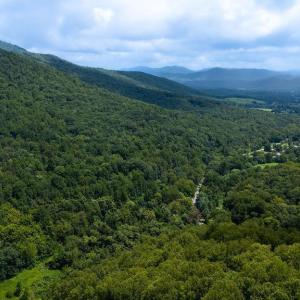 Photo #16 of 2530 BEECH GROVE RD, ROSELAND, VA 33.3 acres