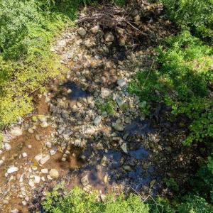 Photo #10 of 2530 BEECH GROVE RD, ROSELAND, VA 33.3 acres