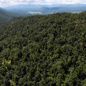 Photo #3 of MOUNTAIN TOP LN, BROADWAY, VA 5.9 acres