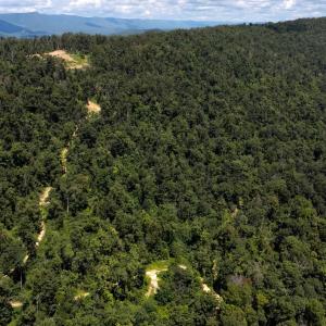 Photo #15 of MOUNTAIN TOP LN, BROADWAY, VA 5.9 acres