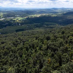 Photo #7 of MOUNTAIN TOP LN, BROADWAY, VA 5.9 acres