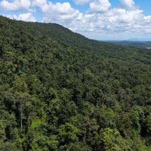 Photo #6 of MOUNTAIN TOP LN, BROADWAY, VA 5.9 acres