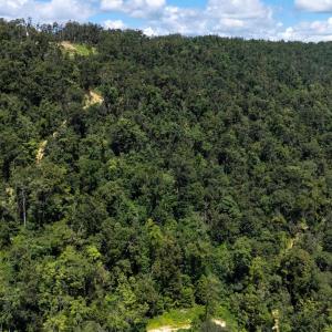 Photo #5 of MOUNTAIN TOP LN, BROADWAY, VA 5.9 acres