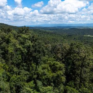 Photo #4 of MOUNTAIN TOP LN, BROADWAY, VA 5.9 acres