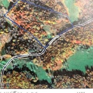 Photo #2 of TBD RICH HILLS RD, MONTEREY, VA 11.4 acres