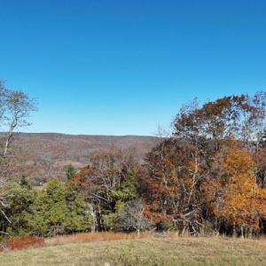 Photo #3 of TBD RICH HILLS RD, MONTEREY, VA 11.4 acres