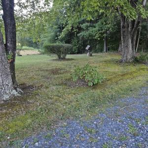 Photo #5 of 794 JENKINS CHURCH RD, CUMBERLAND, VA 3.5 acres