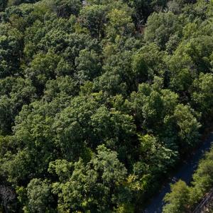 Photo #13 of 1.78 acres TRAYFOOT RD, GROTTOES, VA 1.8 acres