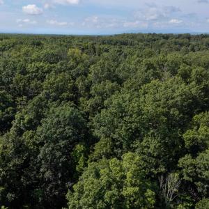 Photo #14 of 1.78 acres TRAYFOOT RD, GROTTOES, VA 1.8 acres