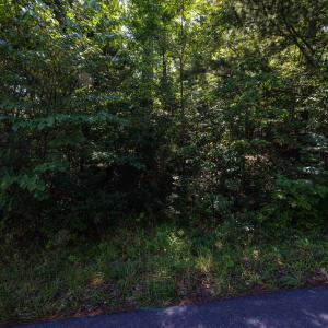 Photo #8 of 1.78 acres TRAYFOOT RD, GROTTOES, VA 1.8 acres