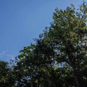 Photo #10 of 1.78 acres TRAYFOOT RD, GROTTOES, VA 1.8 acres