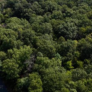 Photo #12 of 1.78 acres TRAYFOOT RD, GROTTOES, VA 1.8 acres