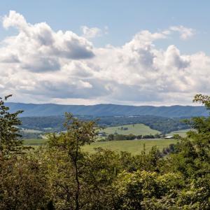 Photo #10 of TBD SUNRISE DR, BROADWAY, VA 8.2 acres