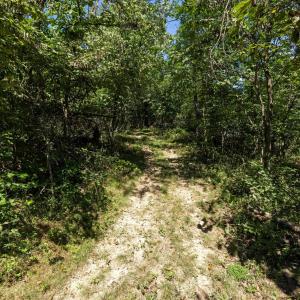 Photo #14 of TBD SUNRISE DR, BROADWAY, VA 8.2 acres