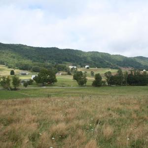 Photo #4 of TBD MILL GAP RD, MONTEREY, VA 24.9 acres