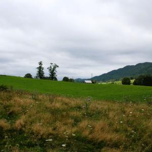 Photo #15 of TBD MILL GAP RD, MONTEREY, VA 24.9 acres