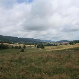 Photo #3 of TBD MILL GAP RD, MONTEREY, VA 24.9 acres